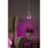 Фото #4 товара LED-Pendelleuchte Neordic Lavea