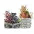 Decorative Plant DKD Home Decor Cactus Resin Polyethylene 11 x 11 x 21 cm (2 Units)