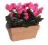 Фото #1 товара Искусственные цветы MICA Decorations Cyclamen розовый