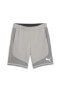 Фото #10 товара Evostripe Shorts 8 Erkek Şort