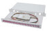 Фото #1 товара DIGITUS Fiber Optic Sliding Splice Box, 1U, Equipped, LC, OM4