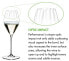 Фото #3 товара Бокалы для шампанского Riedel PERFORMANCE 2 шт + Набор из 2 полировочных салфеток