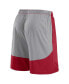 ფოტო #3 პროდუქტის Men's Red Tampa Bay Buccaneers Big Tall Team Logo Shorts