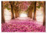 Фото #1 товара Selbstklebende Fototapete Pink grove