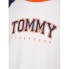 Фото #6 товара Tommy Hilfiger UM0UM02351DY4