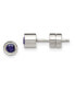 ფოტო #1 პროდუქტის Stainless Steel Polished Blue CZ September Stud Earrings