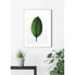 Фото #5 товара Wandbild Ficus Leaf