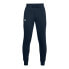 Фото #1 товара Under Armour Rival Cotton Pants