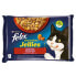 Фото #2 товара PURINA NESTLE Felix Sensation Jellies Tomato Chicken And Carrot 85g Wet Cat Food 4 Units