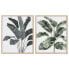 Фото #1 товара Картина Home ESPRIT Лист растения Скандинавский 52,8 x 2,5 x 62,8 cm (2 штук)
