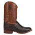 Фото #1 товара Tony Lama Canyon Caiman Square Toe Cowboy Mens Brown Dress Boots TL5251