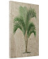 "Coastal Palm I" Fine Giclee Printed Directly on Hand Finished Ash Wood Wall Art, 36" x 24" x 1.5"