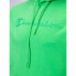 Фото #13 товара Толстовка с капюшоном мужская Champion Зеленый