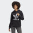 Фото #20 товара adidas women adidas Adicolor Trefoil Hoodie