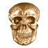 Фото #1 товара Wandskulptur SKULL XXL