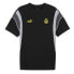 ფოტო #2 პროდუქტის PUMA Borussia Dortmund Ftblarchive short sleeve T-shirt