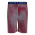 Фото #1 товара TOMMY HILFIGER UM0UM02899 shorts