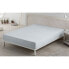 Fitted bottom sheet Alexandra House Living Pearl Gray 200 x 200 cm