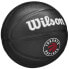 Фото #6 товара Wilson Team Tribute Toronto Raptors Mini Ball WZ4017608XB basketball