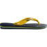 HAVAIANAS Brasil Logo Slides