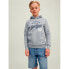 Фото #2 товара Толстовка Jack & Jones Than Hoodie 2 единицы