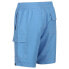 Фото #4 товара REGATTA Hotham IV Swimming Shorts