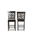 Caron Modern and Contemporary Transitional 2-Piece Finished Wood Counter Stool Set