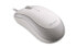 Фото #6 товара Microsoft Ready Mouse - Optical - USB Type-A - 800 DPI - White