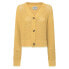 Фото #1 товара PEPE JEANS Isabella cardigan