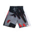 Mens Mitchell & Ness NBA HYPER HOOPS SWINGMAN SHORTS - TRAIL BLAZERS 1991