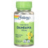 Фото #1 товара Solaray, True Herbs, дамиана, 370 мг, 100 растительных капсул