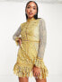 Фото #4 товара ASOS DESIGN lace mini dress with contrast detail and pep hem in mustard