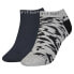 Фото #1 товара CALVIN KLEIN Sneaker Leopard socks 2 pairs