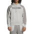 Puma X Pleasures Graphic Pullover Hoodie Mens Grey Casual Outerwear 62409404