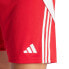 Фото #4 товара Adidas Tiro 24 M shorts IR9379