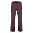 Фото #1 товара ARMADA Trego 2L Goretex Pants