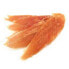 ფოტო #1 პროდუქტის BIOZOO Dried Chicken Breast 100g