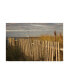 Фото #1 товара Aledanda Along the Beach Fence I Canvas Art - 20" x 25"