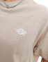 Dickies oversized summerdale t-shirt in sand- exclusive to asos