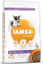 IAMS IAMS Puppy & Junior Small Medium sucha karma dla psa 12kg