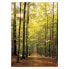 Puzzle Waldweg 1000 Teile