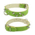 ფოტო #1 პროდუქტის YOUPET Mountain Co2F 45x2.5 cm Dog Collar