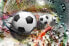 Fototapete Fußball Puzzle Tunnel 3D