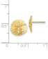 ფოტო #3 პროდუქტის Sand Dollar Stud Earrings in 14k Gold