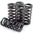 Фото #1 товара DP BRAKES HDS137-4 Honda CRF Clutch Spring Kit 4 Units