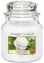 Фото #1 товара Duftkerze im Glas Camellia Blossom - Yankee Candle Camellia Blossom 411 g