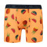 Фото #1 товара HURLEY Supersoft Printed Boxer