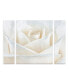 Фото #1 товара Cora Niele 'Pure White Rose' Multi Panel Art Set Small - 24" x 32" x 2"