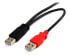 Фото #3 товара StarTech.com 6 ft USB Y Cable for External Hard Drive - USB A to mini B - 1.8 m - Mini-USB B - 2 x USB A - USB 2.0 - Male/Male - Black - Red