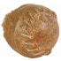 ფოტო #2 პროდუქტის TRIXIE Chewing Ball Ø8 cm